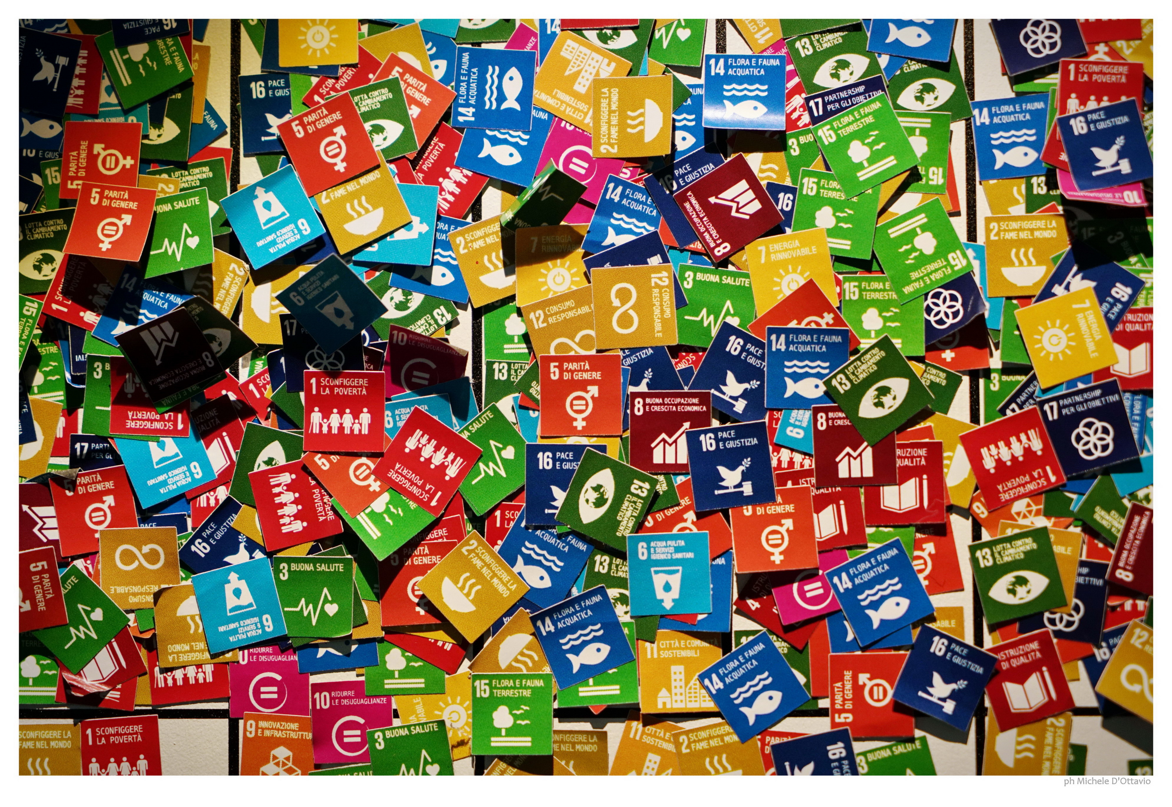 Al MAcA impariamo l'ambiente con le storie sociali - Tutti inclusi